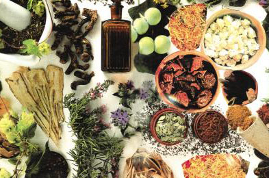 ����� �������� ������